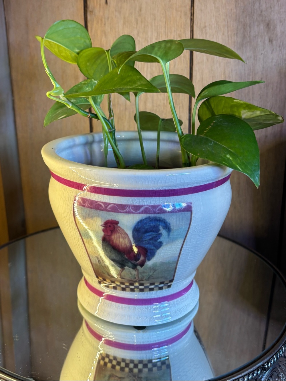 Cream Ceramic Rooster Planter with Pink Accents - Picture 10 of 13
